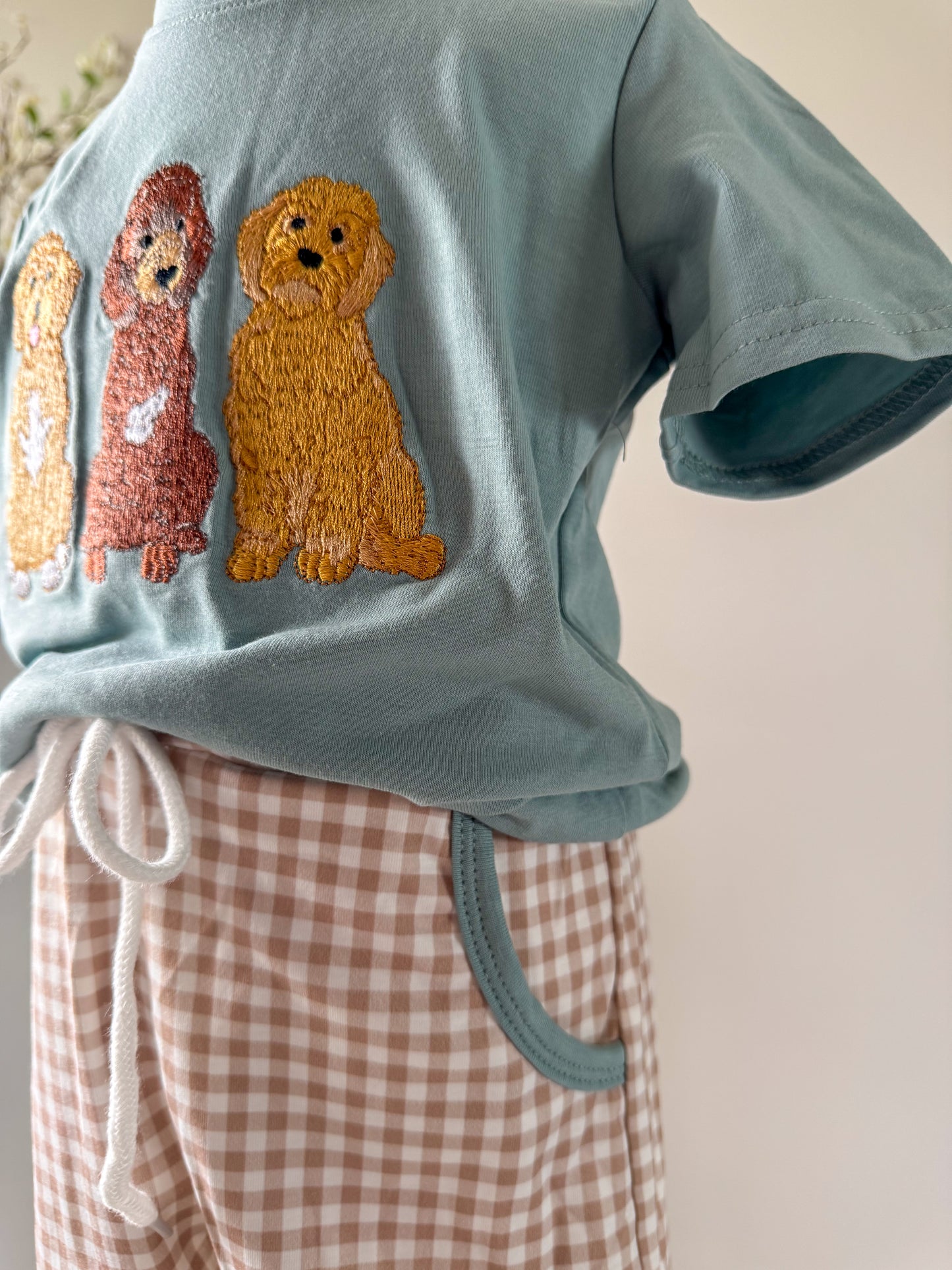 Boys Embroidered Doodle Dog Gingham Short Set